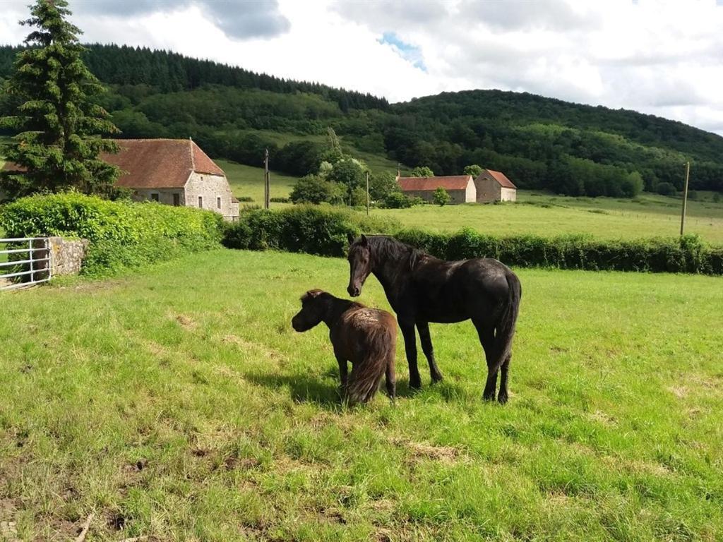 GITE Les Aubues Lormes Extérieur photo